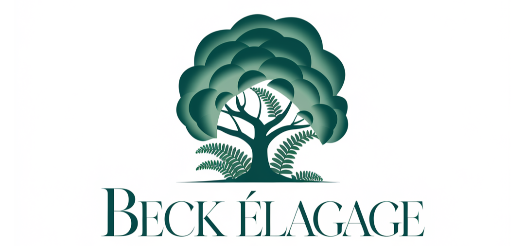 Beck Élagage Lille 59